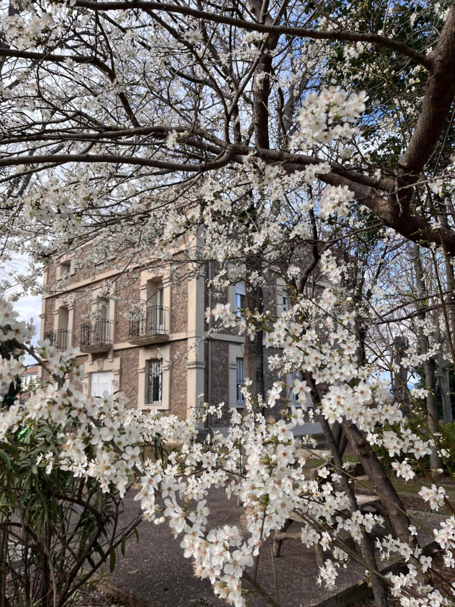 Villa Merenciana Agoncillo Екстер'єр фото