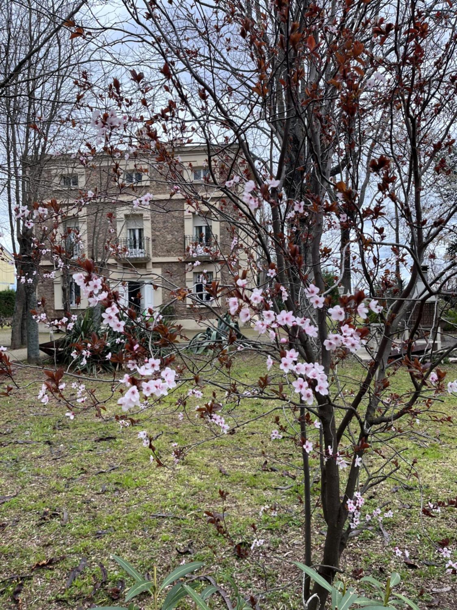 Villa Merenciana Agoncillo Екстер'єр фото
