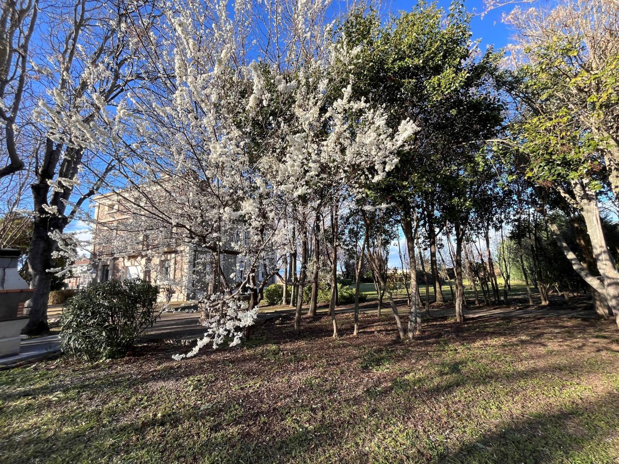 Villa Merenciana Agoncillo Екстер'єр фото